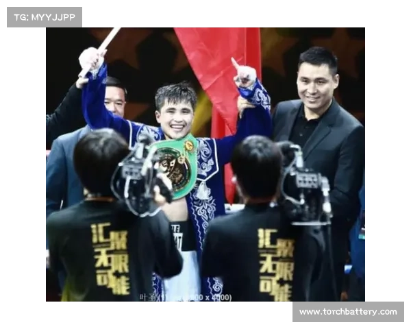 职业拳击赛事组织职业拳击联赛