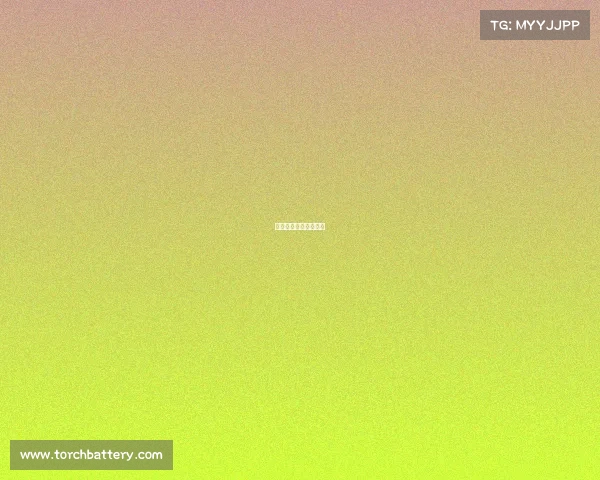 亿洲城电子竞技场地址