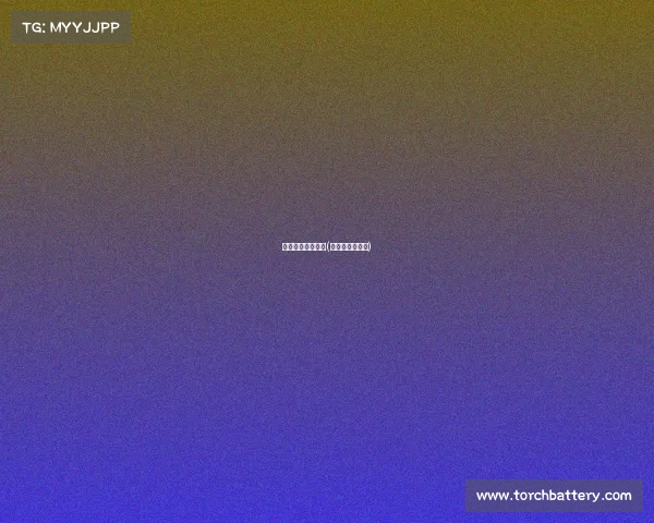 青木电子竞技姚杰(青木子网络科技)